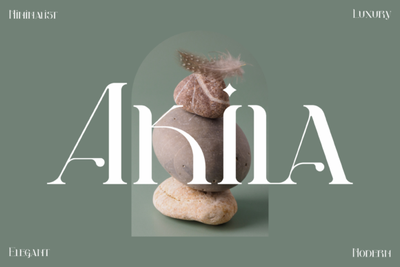 Akila Font Review: Elevating Campaign Visuals