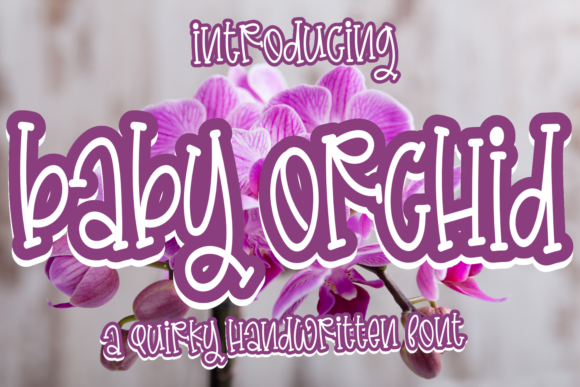 Baby Orchid: A Playful Serif Font for Editorial Design