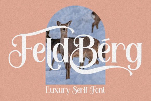 Feldberg: A Serif Typeface for Editorial Elegance