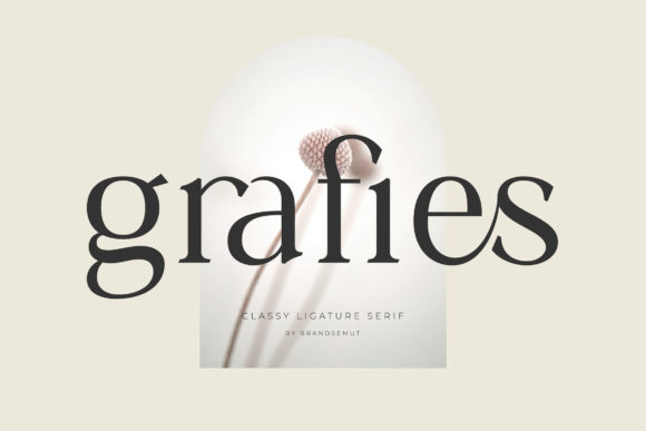 Grafies: A Serif Font for Editorial Calm