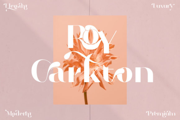 Roy Carkton Font for Professional Branding