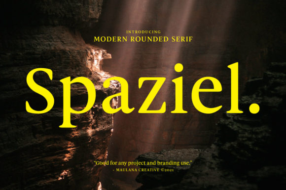 Spaziel Typeface: A Designer’s Review
