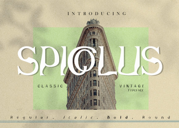 Spicalos Serif Font: A Web Designer’s Review